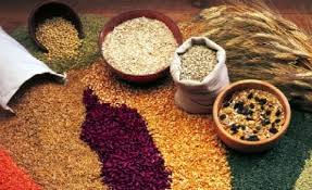 Food_Grain
