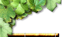 Top_Left
