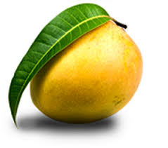 Alphonso Mango Fruits