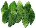 Bitter Melon Karela