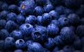 Blueberry Feeri Fruits