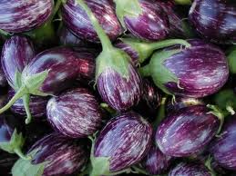 Brinjal Baingan Vegetables