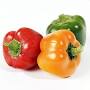 Capsicum Shimla Mirch