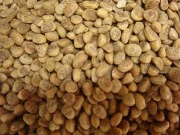 Chirongia Sapida Charoli Dry Fruits