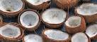 Coconut Oil Seeds