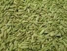Fennel Seeds