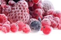 Frozen Food Products