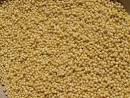 Millet Grain