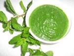 Mint Pudina Herbs