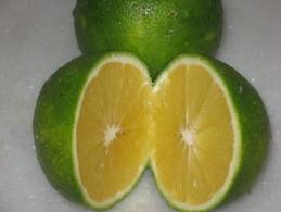 Mosambi Fruits