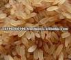 Red Jyoti Rice
