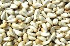 Safflower Oil Seeds