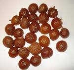 Soap Nut Aritha Herbs