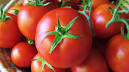 Tomato Tamatar Vegetables