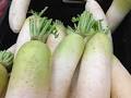 White Carrots Muli