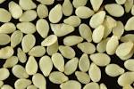 White Sesame Seeds